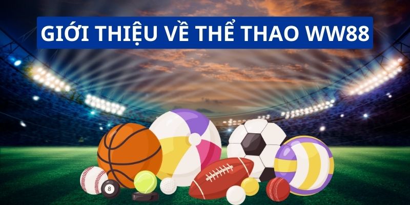 Giới thiệu về tổng quan thể thao ww88